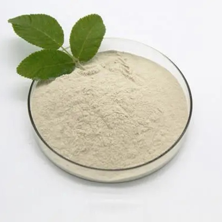 Пробиотики, Bacillus Licheniformis, 100% растворимый в воде с носителем Декстрозы