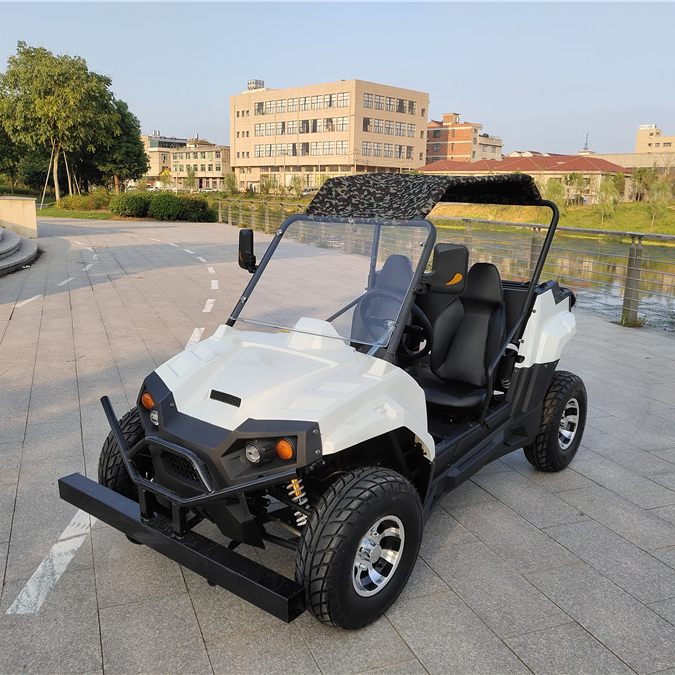 Цена 750 Вт бесщеточный двигатель дешевый электрический багги 1100cc Eec4 Euro4 250cc Eec 2016 Китай