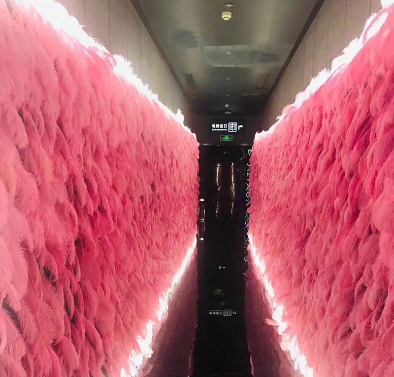 6-8 Inch High Quality Multi-Color Smooth Fluffy Natural Ostrich Feather wall for decoration