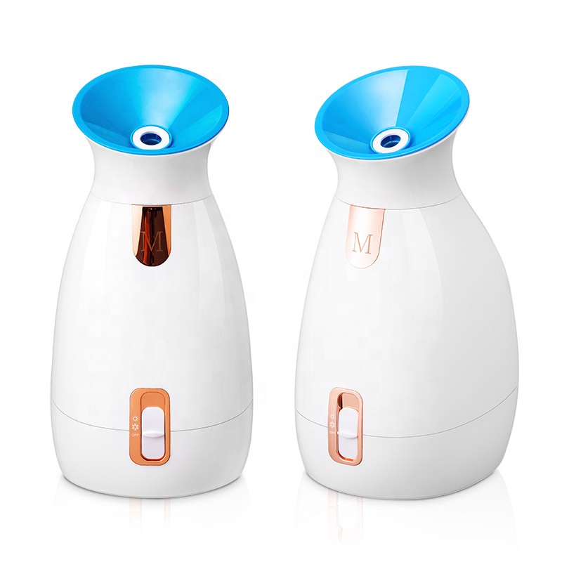 CE ROHS FCC Approved home spa steamer face vapor facial steamer humidifier face steamer