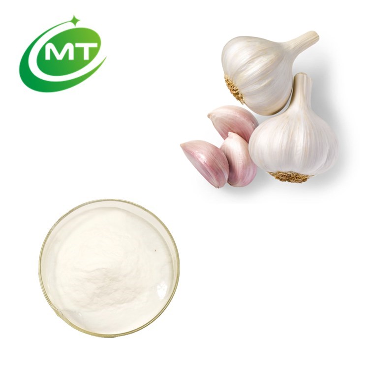 High Quality Organic Garlic Extract 1%Allicin