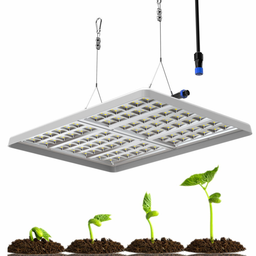 Smart Control ETL cETL Blue Red Green Purple 1200W LED Grow Light With 5 Years Warranty