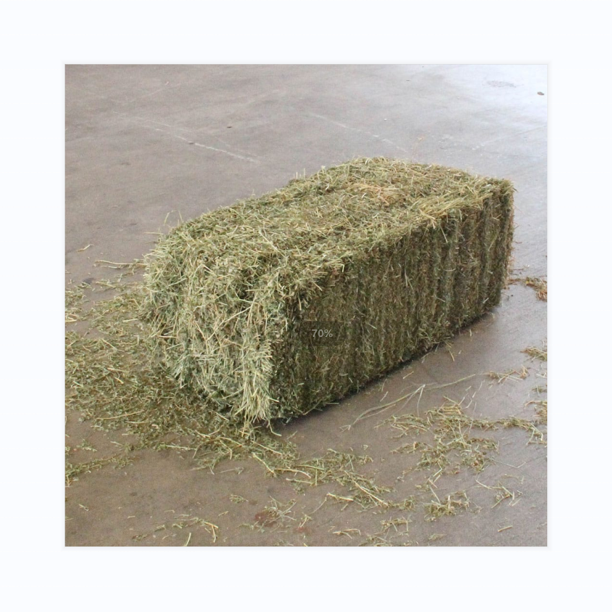 Alfalfa hay High Quality for Animal Feeding Cattle Horse Cow Pets