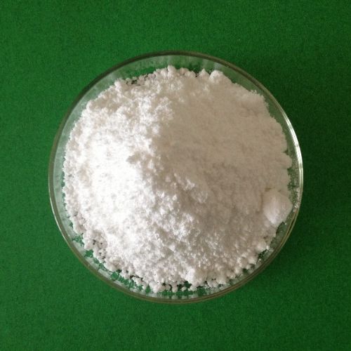Lactobacillus gasseri