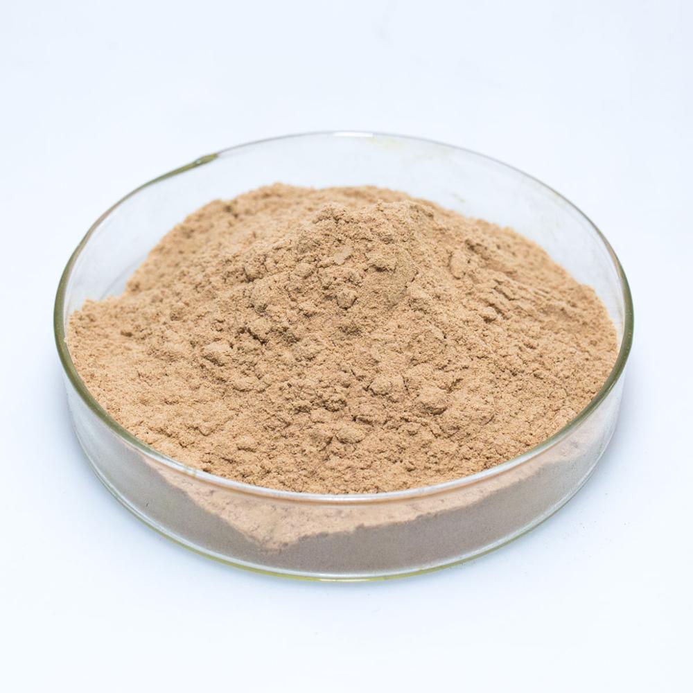 Free sample bacillus subtilis pharmaceutiques/ bacillus subtilis fermentation/water purification bacillus subti