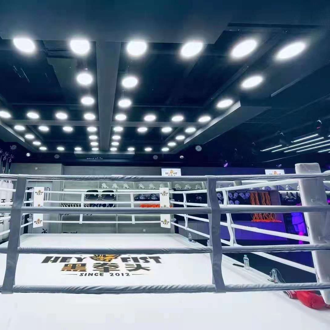 Wrestling Ring Hot Sale Strong Floor Boxing Ring For Boxing Training