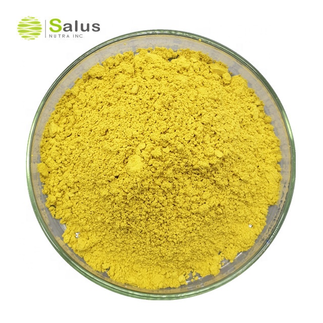 Лучшая цена USP Grade Quercetin