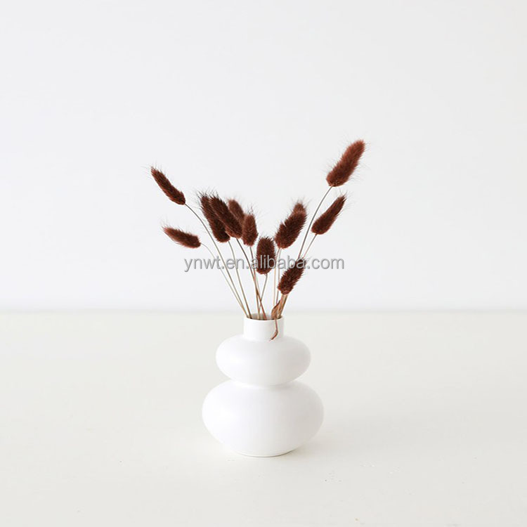 Dried flower arrangement bunny tails dried pampas white ruscus bundle