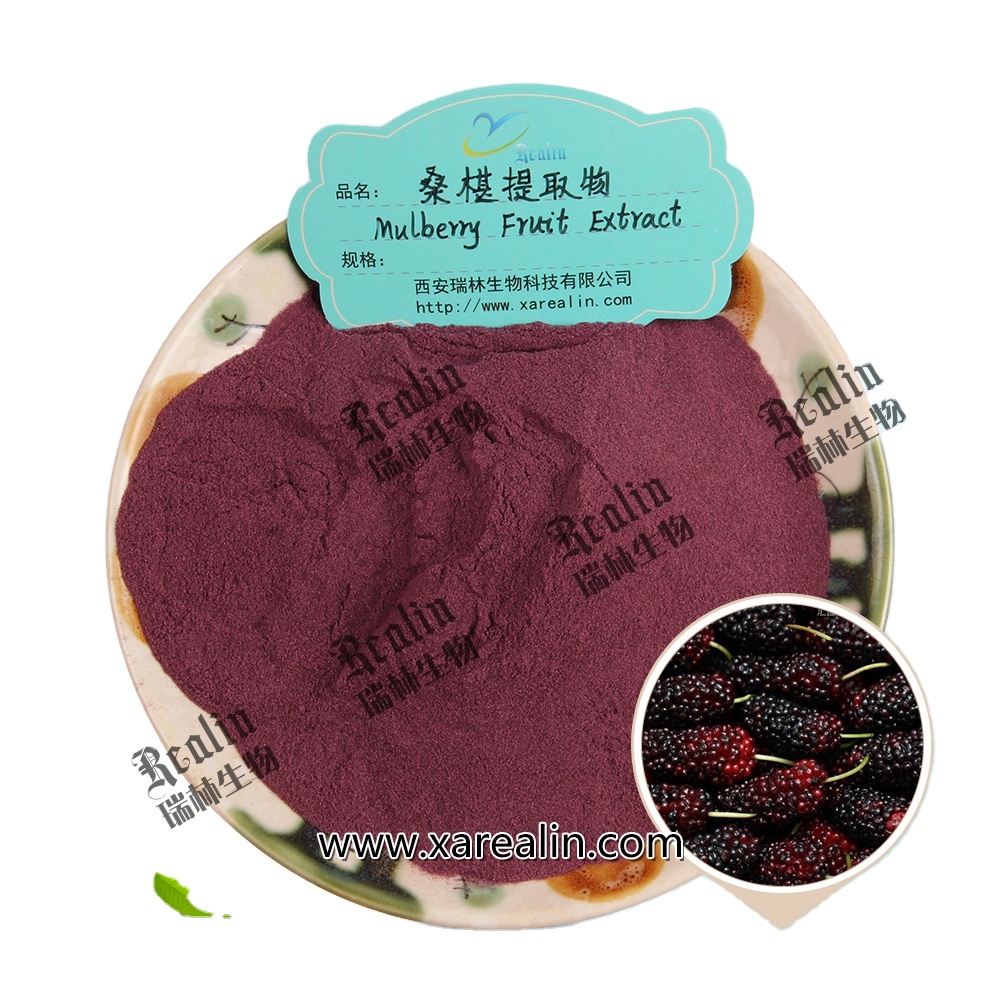 Health Care Factory Supply Ulcer Treatment Supplement Mulberry Fruit Extract