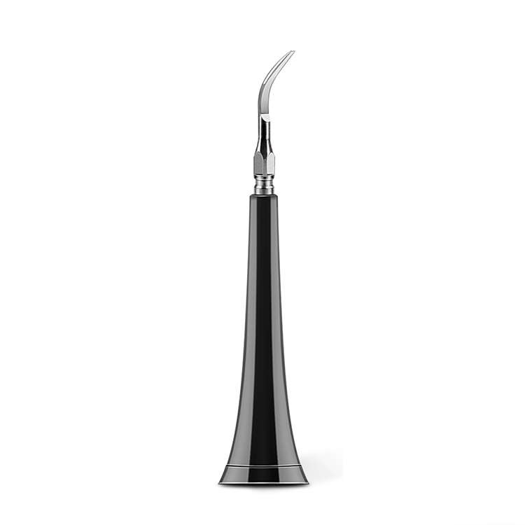 Private Label High Frequency Vibration Electric Cleaning Tooth Dental Scaler Electric Dental Calculus Remover