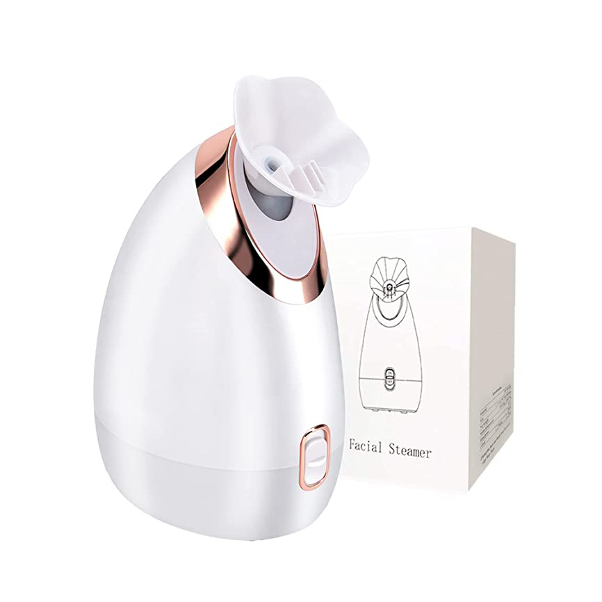 Facial Steamer Sprayer Electric Face Deep Cleansing Humidifier SPA Skin Care Professional Hot Mist Nano Face Steamer For Home