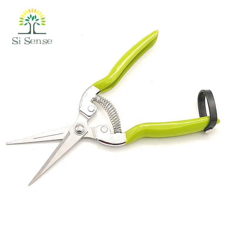 Amazon горячие tijeras de jardin Подар сбор фруктов винограда Обрезка ножницы садовые Цветочные серпы