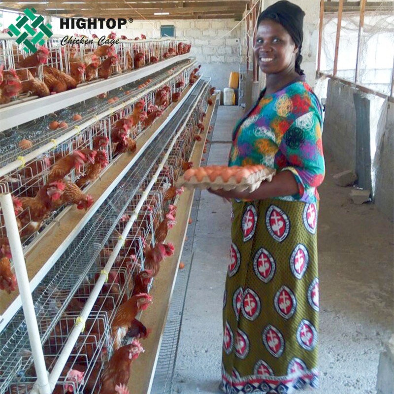 Hot Sale Poultry Farm Equipment Laying Hens Cage A Type 3,4 Tiers Battery Egg Layer Chicken Cages For Chicken Coops