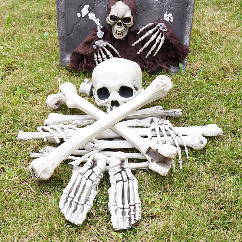 20 PCS Skeleton Bones Realistic Looking Human Skulls Halloween Skeleton Bones for Halloween Decoration
