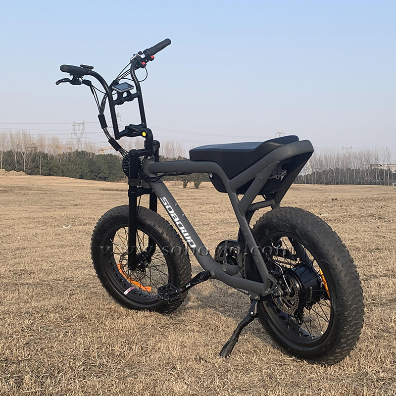 2020 lithium battery super powered 48v 1000w two seat ebike / fat tire 2 seater electric bike