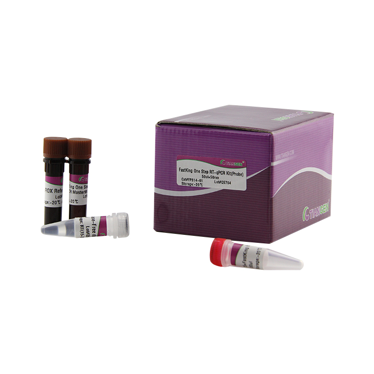 Одношаговый комплект RT-qPCR высокоэффективный специфический реагент Taq polymerase PCR для определения РНК вируса в реальном времени qPCR