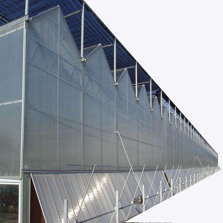 Multi-span Commercial Greenhouse solar panel Greenhouse hot sale