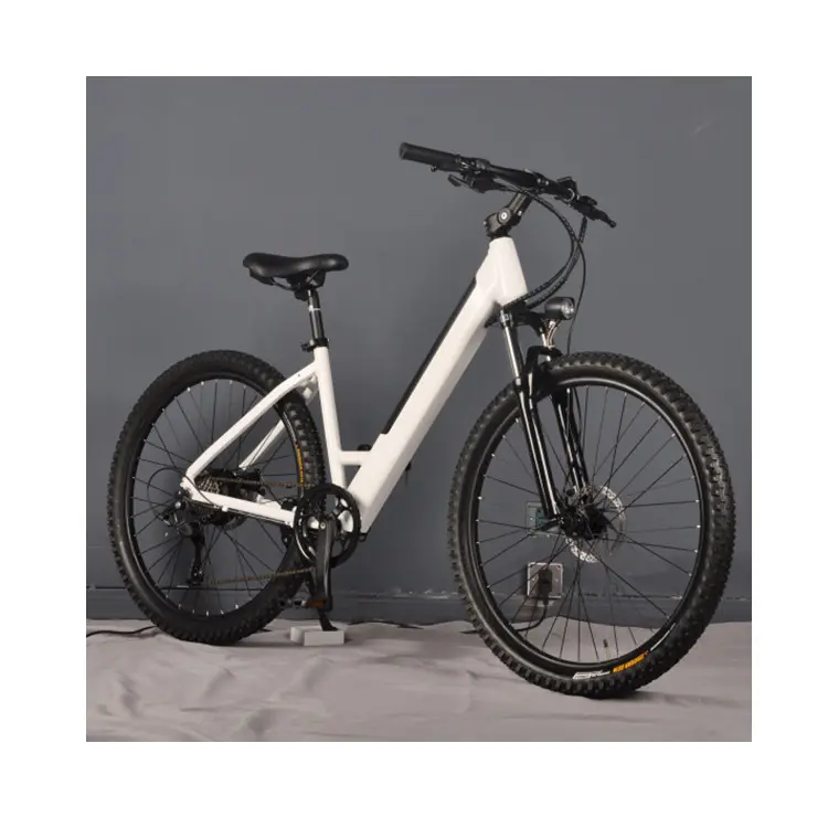 250w Small High Speed Motor Mechanical Disc Brake Front Rear 10.4 Ah 36v 20" E Bike With LCD Display