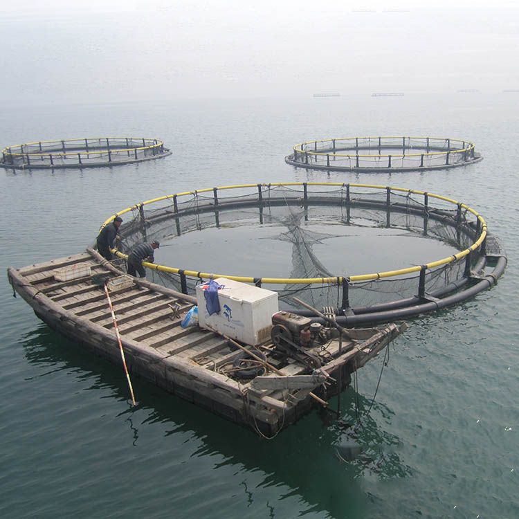 Инструменты для аквакультуры, HDPE труба для морской воды, клетка для разведения рыбы, сеть-фонарь для южной африки