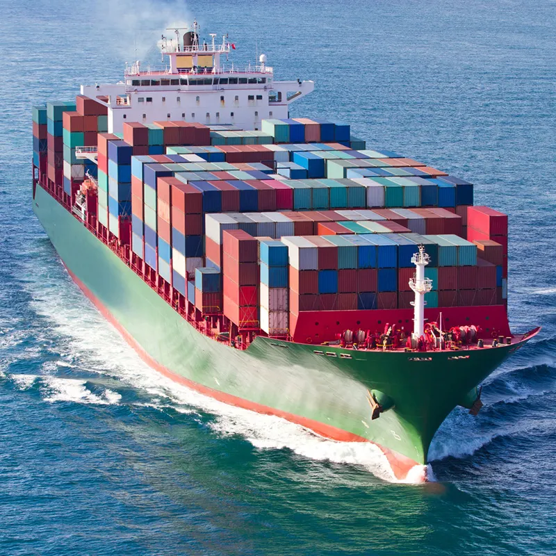 Door To Door Ship Container Cargo Shipping Rates Fast Shipping From China To Chile India Europe