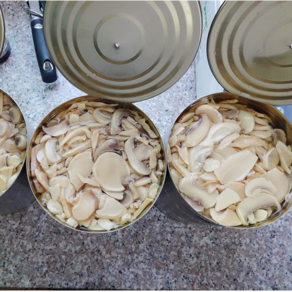 fresh pack canned mushroom champignons king oyster in water canned mushroom in brine