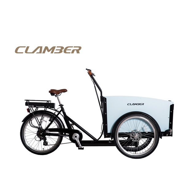 electric cargo with 250W bike used for family 3 wheel bike