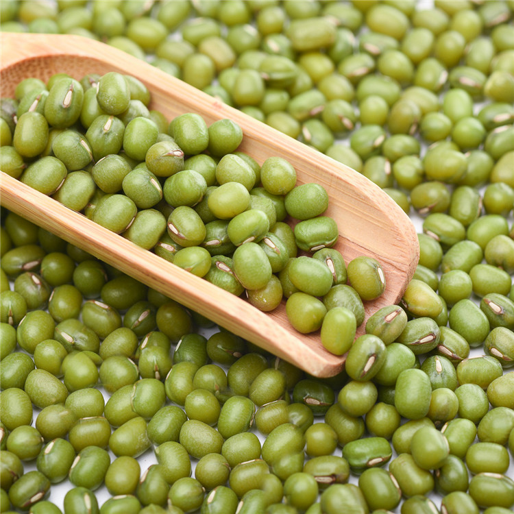Factory Price Small Mung Bean Vacuum Packing Export Green Mung Beans