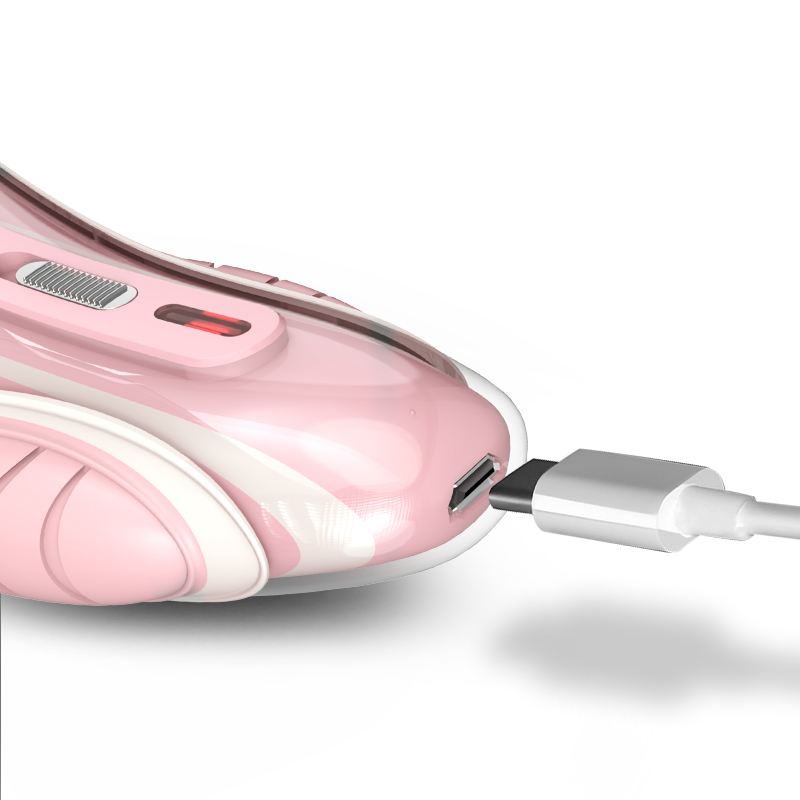 2020 новый дизайн, перезаряжаемая через USB бритва, Женская бритва, электрическая бритва Raozr