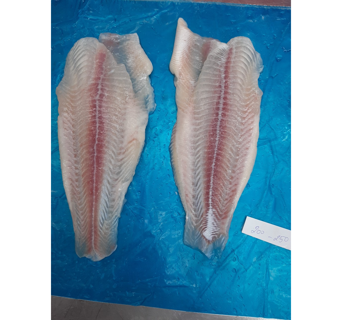 Pangasius fillet, не Обрезанные лучшие морепродукты во Вьетнаме