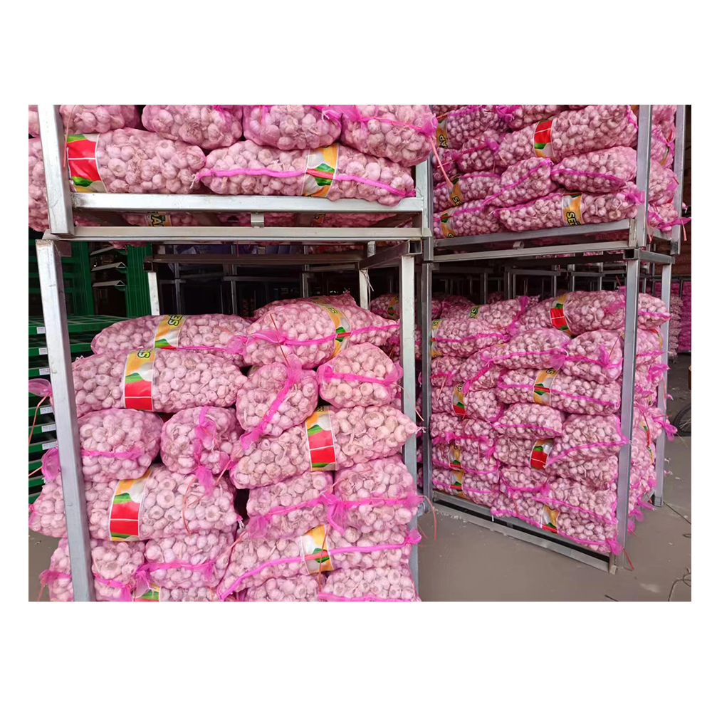 Cheap Price Fresh Chinese 4P Pure White Garlic Fresh Vegetables For Wholesale Normal White Garlic