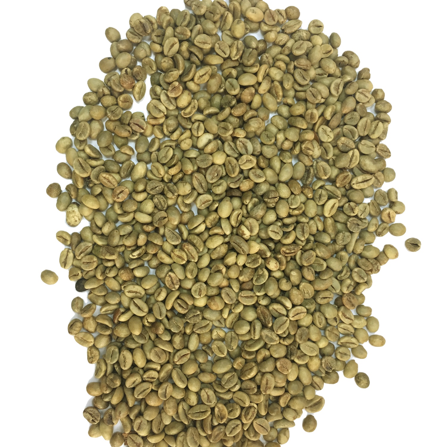 Robusta кофе в зернах на продажу, высокое качество зеленый кофе в зернах из Вьетнама