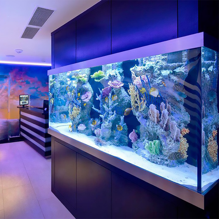 Wholesale automatic filter acrylic plastic fish tank led lighting fish tank aquariums