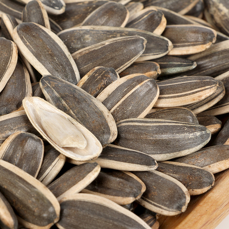 goods taste factory price of sunflower seeds 361