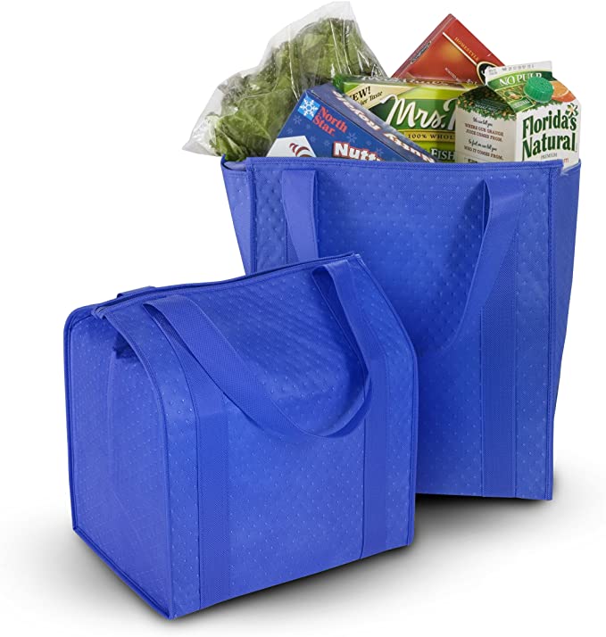 Wholesale Cheap Non Woven Eco Friendly Insulated Large Zipper Picnic Delivery Food Cooler Tote Bag