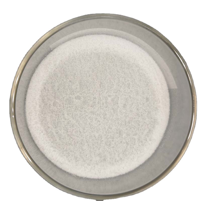 Hot selling high quality Lactobacillus plantarum with Factory Price and Fast Delivery