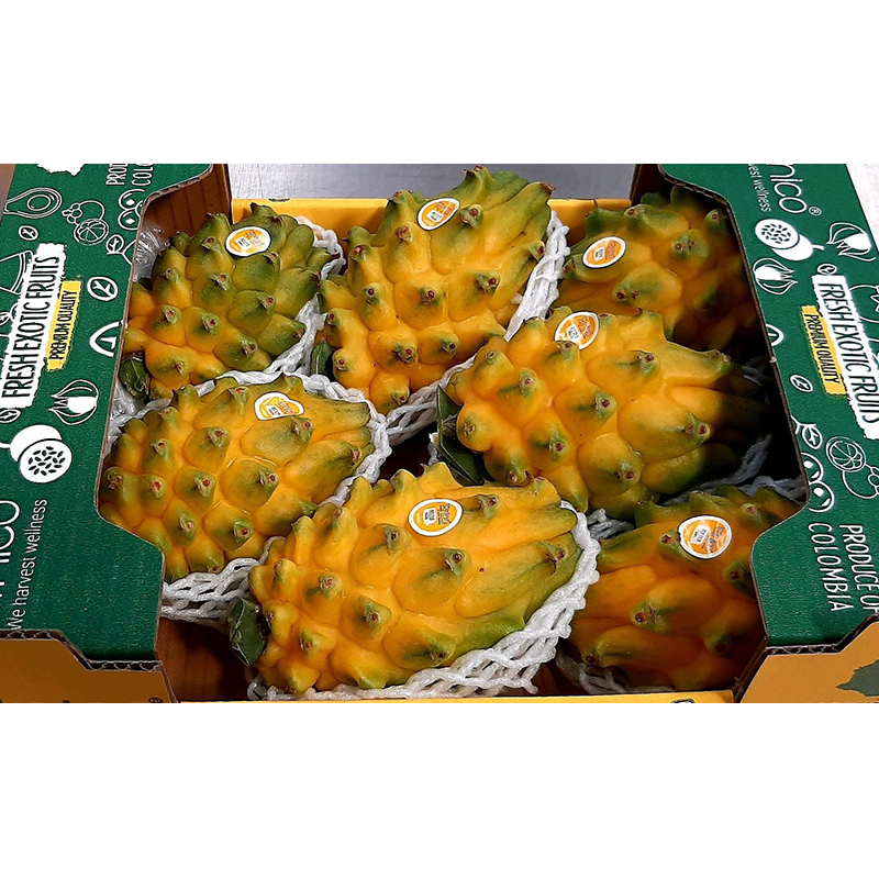 Sweet Fresh Pitahaya Pitaya Fresh Yellow Dragon Fruits In Stock