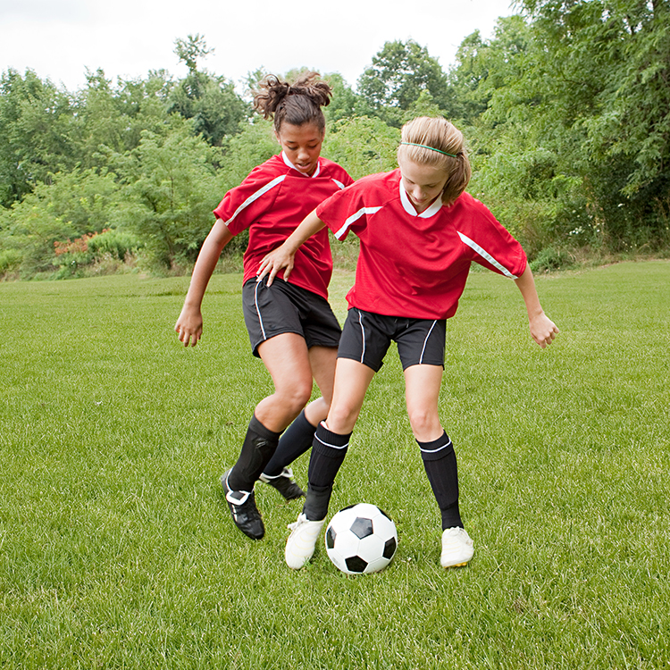 High Quality Football Carpet Grass Artificial Grass Soccer Indoor Grass Synthetic Artificial Lawn