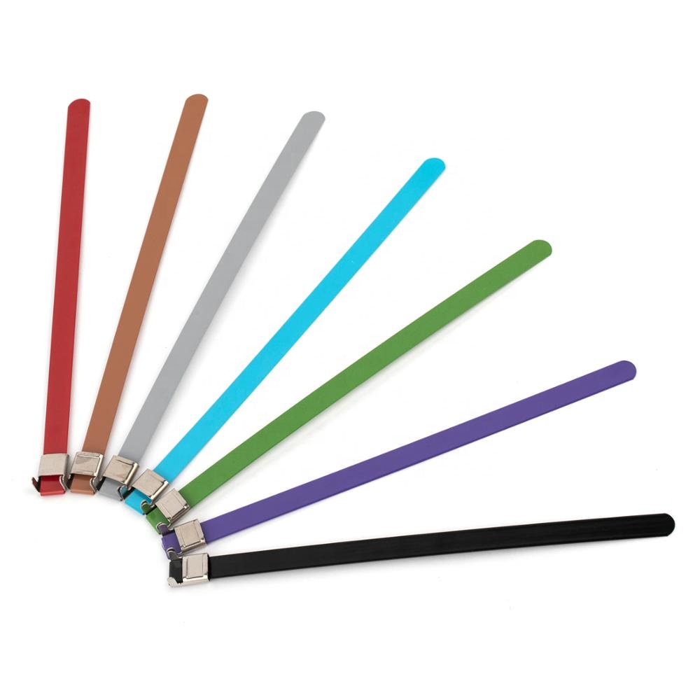 2019 Manufacturer Supplier Customize wingseal buckle stainless steel cable tie hot sale on line