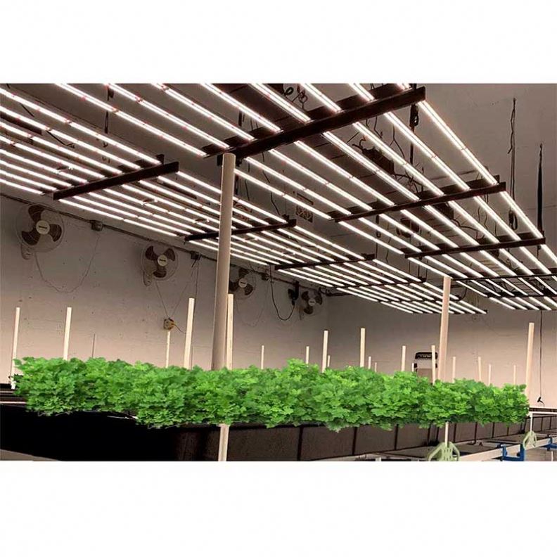 2184 Ppf Uv Ir Led Bar Gavita Pro 1700E Grow Light