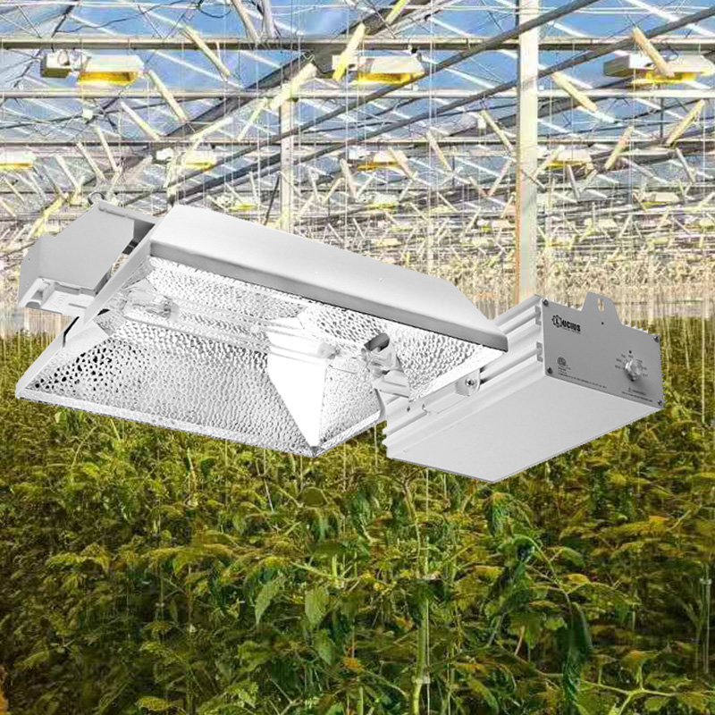 Гидропоника 0-10V контроль 1000W полный двойной Ened HPS балласт наборы освещения