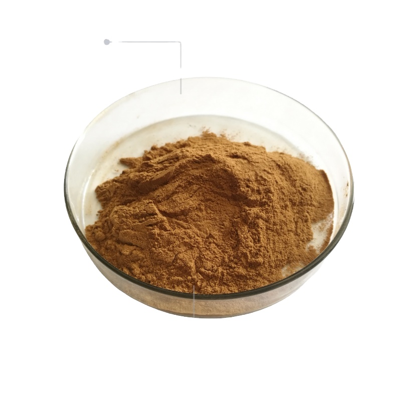 Good Choice Rhodiola Rosea Extract 3% Rosavins 1% Salidroside Herbal Extract High quality