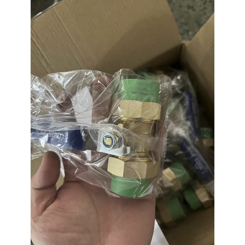Pntek Plastic Factory Plumbing Materials PPR Pipes For Pipe Fittings All types of PPR Fittings names Double Union Brass Valve