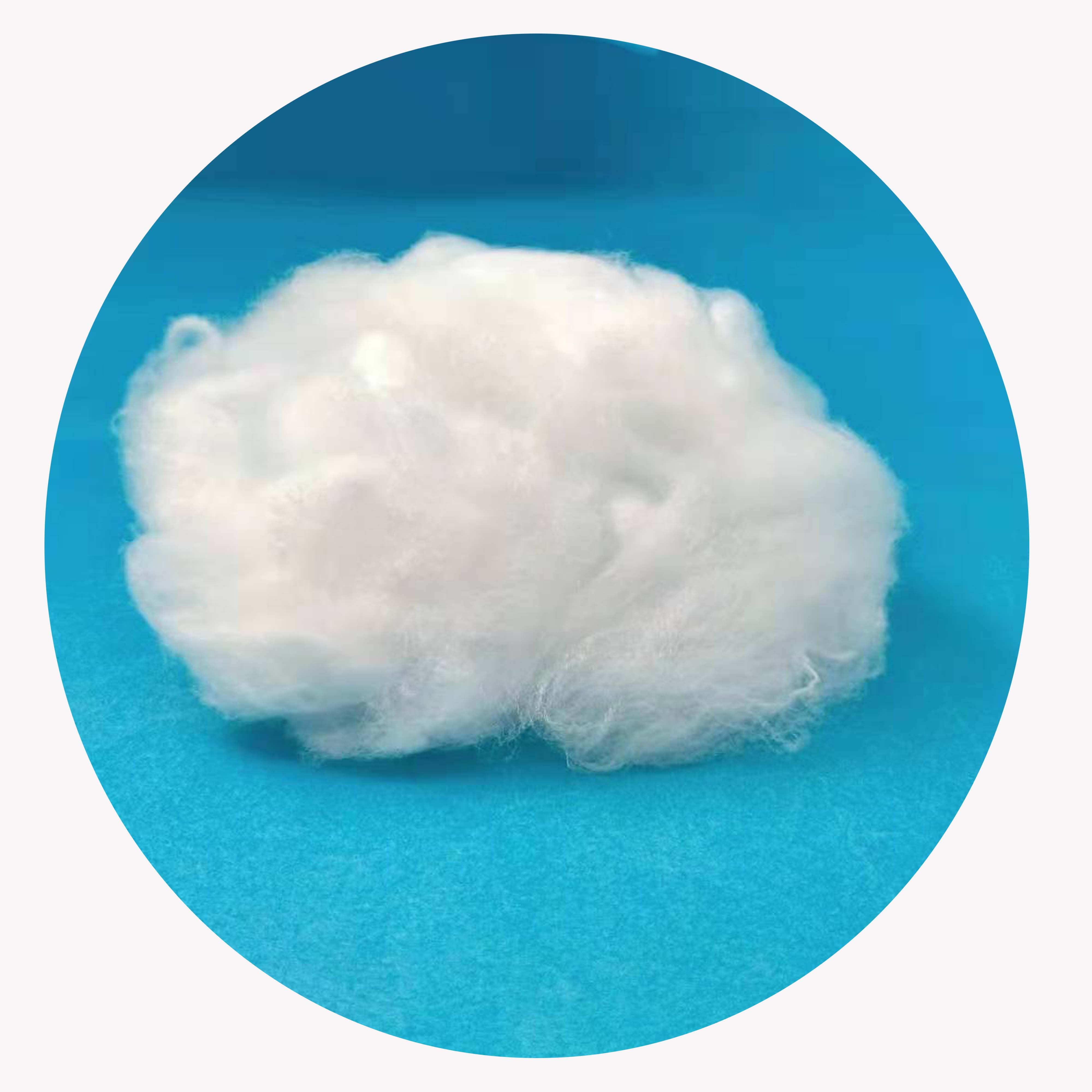 Flame Retardant Raw White Nylon 6 Staple fiber for spinning