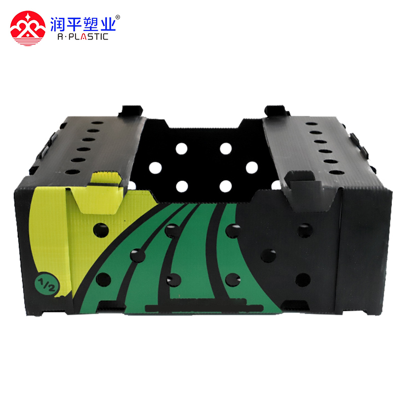 3 мм 650 г corflute correx box PP OKRA box