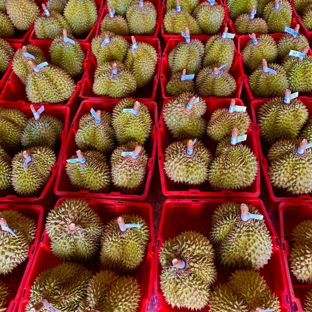 Высокое качество Chanee из Таиланда свежие Durians фрукты