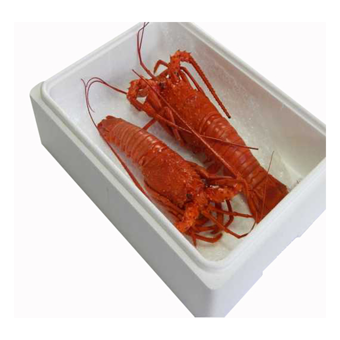 Japan mie prefecture hama steamed prawn bouys seafood lobster