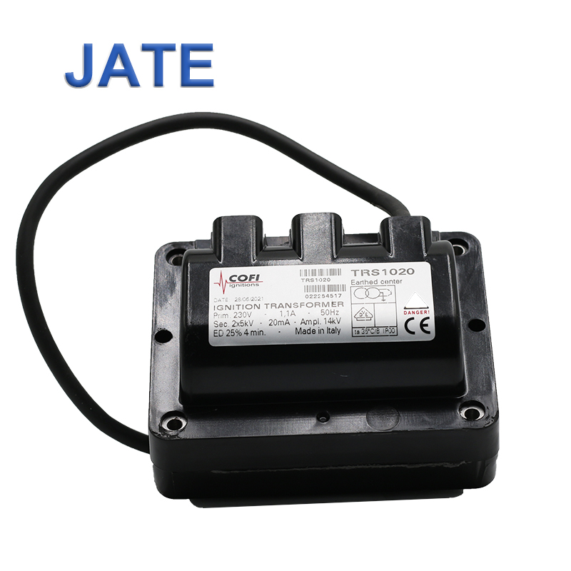 Трансформатор зажигания COFI TRS1020, 2*5 кВ, 20 мА, регулировка, трансформатор высокого напряжения, Непрямое зажигание