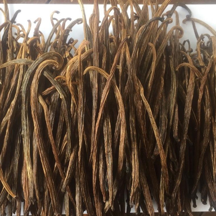 Хит продаж, Ванильные бобы из индонезийского класса-3 планиfolia для извлечения, наилучший качественный Бурбон по разумной цене