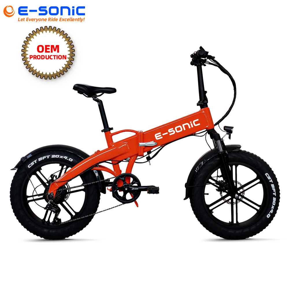 New E-SONIC brand 20*4.0" fat tire ebike 48V 10AH lithium battery electric bicycle 500w powerful motor electric bike