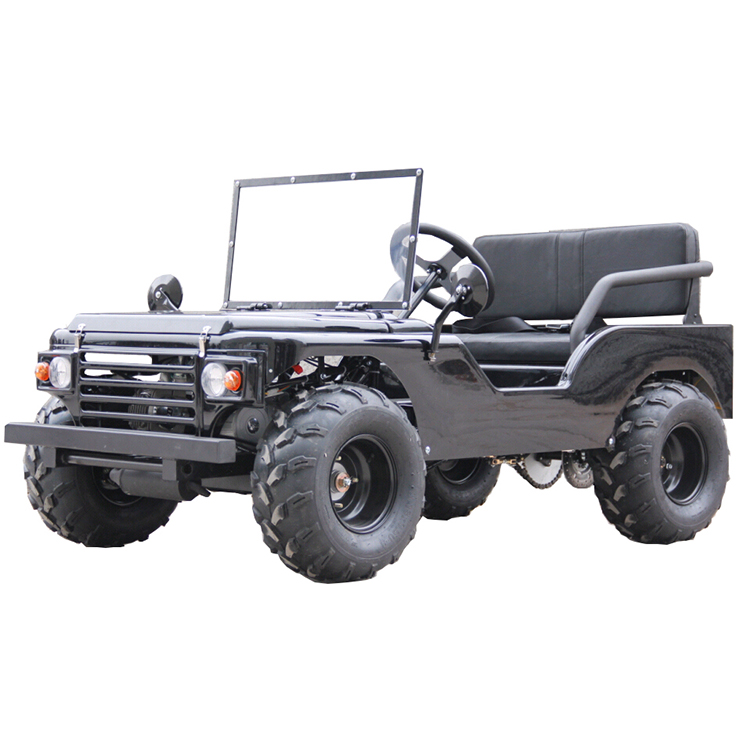 2023 Новый 110CC/125CC мини для детей (MC-425)